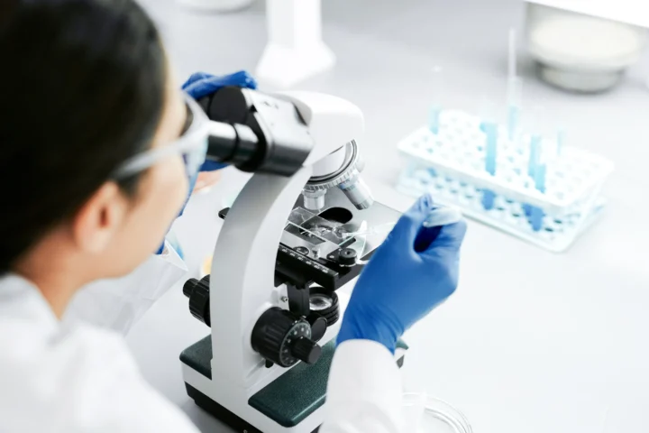XVIVO Perfusion