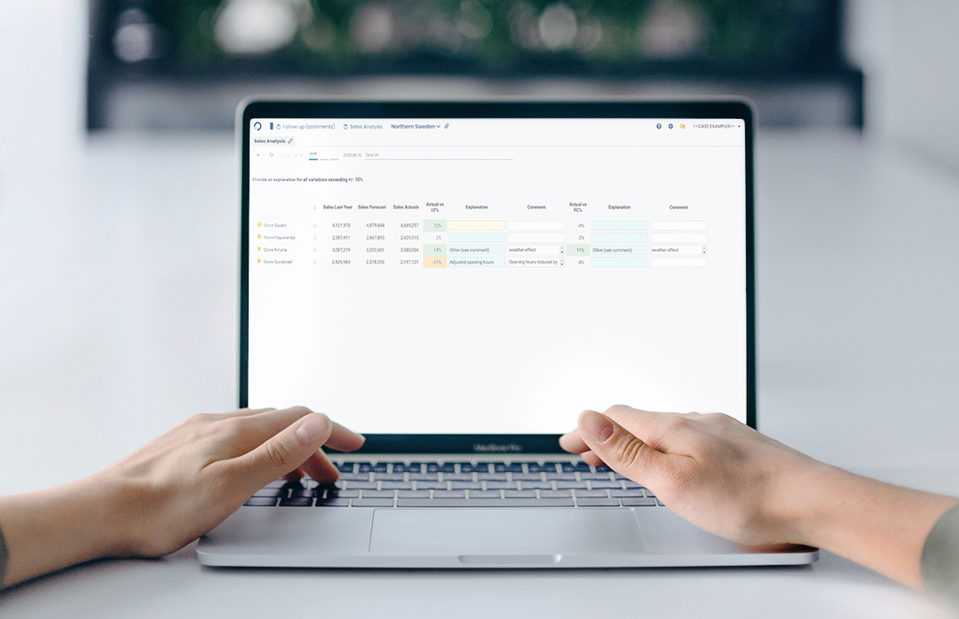 consulting-businesse-planacy-budget-forecast