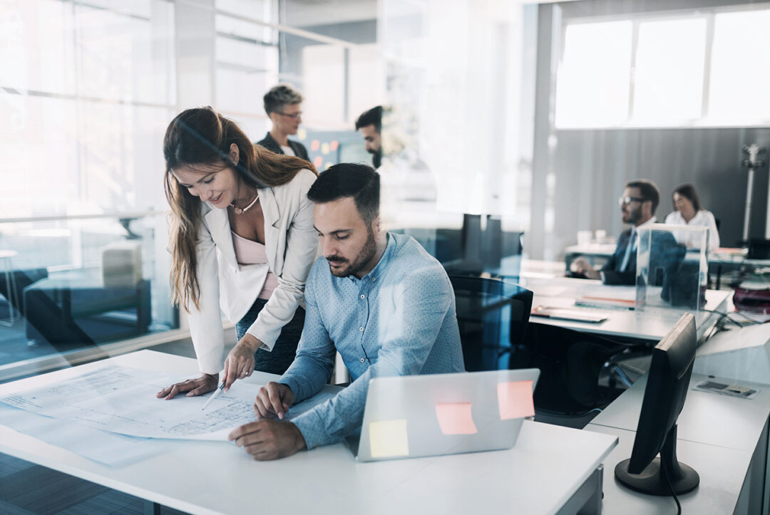 planacy-konsultverksamhet-budgetverktyg