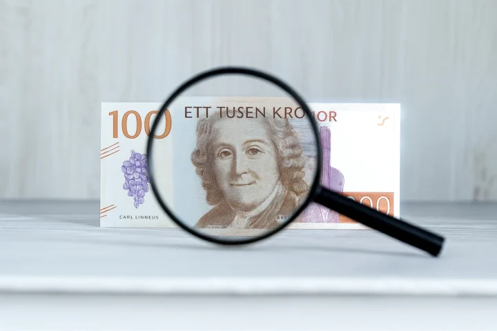finansiell prognostisering