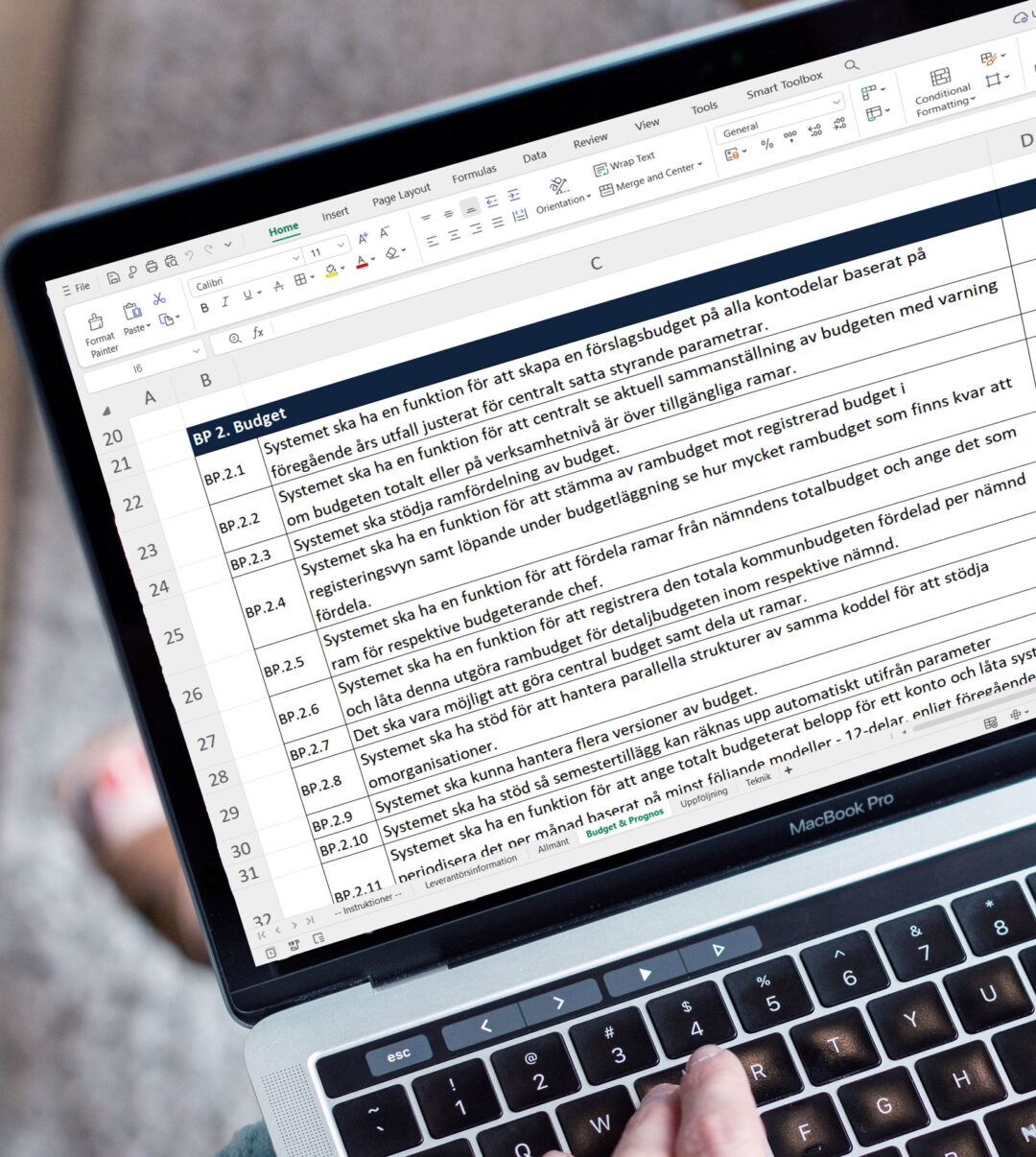 krav-specifikation-kommun-budget-prognos