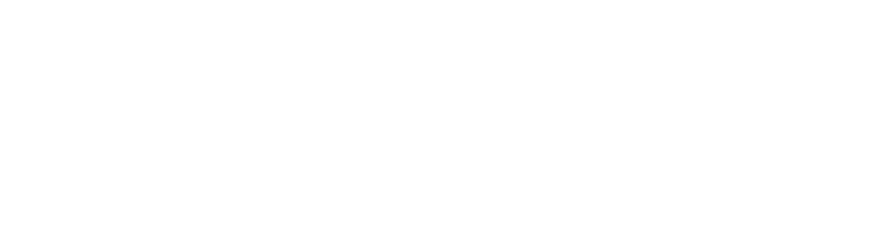 netlight-logo-planacy-customer